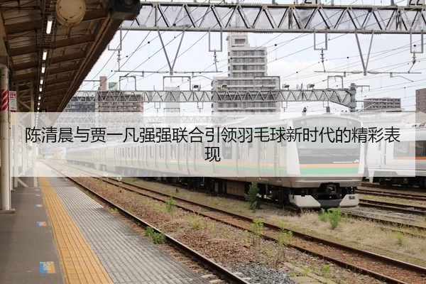 陈清晨与贾一凡强强联合引领羽毛球新时代的精彩表现